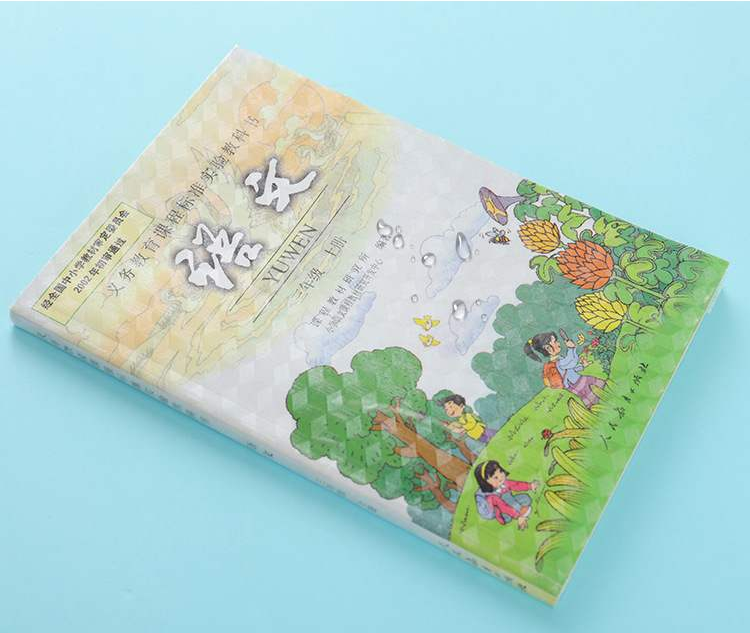 吉祥鸟zh30特大号书膜a4书套书皮10个装